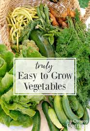 11 Truly Easy Grow Vegetables 4 That Really Aren T An Oregon Cottage