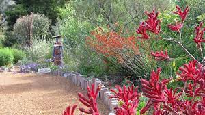 Australian Native Garden Like The Wooden Posts Garden Bed Plants Australian Native Garden Australian Native Plants Native Garden