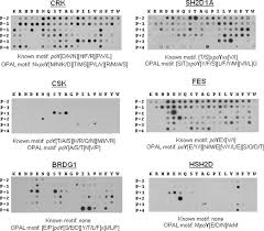 Kohler bathroom sinks, kohler bathroom faucets Defining The Specificity Space Of The Human Src Homology 2 Domain Molecular Cellular Proteomics