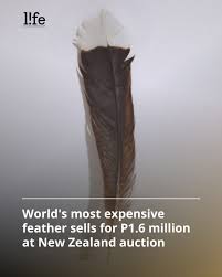 Record-Breaking Extinct Huia Bird Feather Sells For 15 Times Over Estimated  Price At Nz Auction