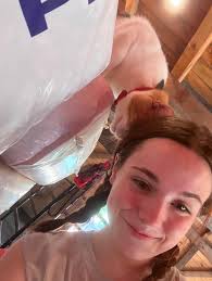 Horseback riding stables in the area?