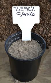 Maybe you would like to learn more about one of these? Exactly What Is And Where Do I Find Coarse Sand For Rooting Cuttings Mike S Backyard Nursery