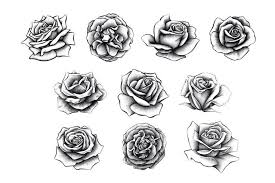 Flower outline tattoos rose outline tattoo stencil line art jpg. Rose Tattoo Stencil For Hand Novocom Top