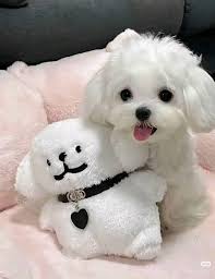 Great photography 🥰