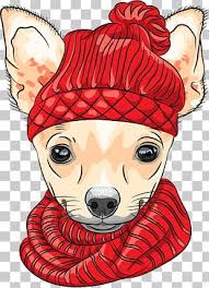 Dogs breed set with bull terrier boxer poodle isolated vector illustration. For Adults Png Images For Adults Clipart Free Download