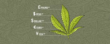 For full functionality of this site it is necessary to enable javascript.here are the instructions how to enable javascript in your web browser. This Is How Much Weed Costs In 120 Cities Across The World