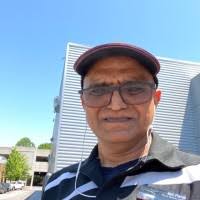 50+ "William Patel" profiles