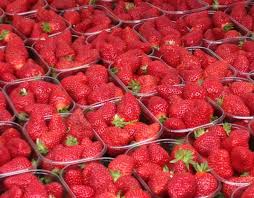 Fraises De Plougastel Finistere Bretagne Gastronomie Cuisine Bretagne