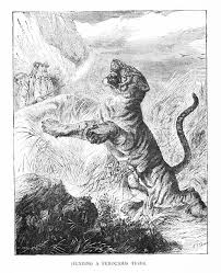 10+ Black And White Illustration Of ...
