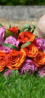A graceful dark pink bouquet of roses symbolizes appreciation and gratitude. Pink And Orange Roses Shoes Grass 1242x2688 Iphone 11 Pro Xs Max Wallpaper Background Picture Image