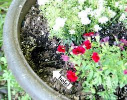 Try to add some to your soil, flower pots, and plant beds. 5 Tricks To Keep Squirrels Out Of Your Plants The Scrap Shoppe