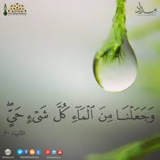مجموعة مواقع مداد وجعلنا من الماء كل شيء حي سورة الأنبياء آية