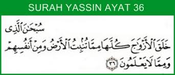 Melupakan seseorang yang kita sayang bukanlah mudah. 3 Potong Ayat Al Quran Untuk Melembutkan Hati Pasangan Bertambah Sayang Salaam