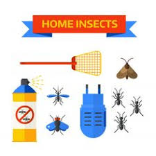 Have questions about pest control? Nida Humayun Neaa1997 Profile Pinterest