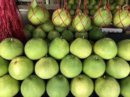 Benefits Of Pomelo Fruit Pummelo Herbbreak Ckachat chakotha fruit juice# pomelo fruit juice# benifits of pomelo fruit# healthy juice video v formate mpp4 ili mp3 trek. benefits of pomelo fruit pummelo