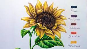 Speed Drawing Sunflower Youtube The challenge lies in knowing when to use subdued hues to bring out.