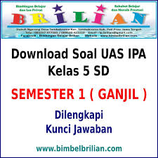 Jelaskan apa yang dimaksud dengan komponen abiotik dan sebutkan 4 contohnya! Soal Penyesuaian Makhluk Hidup Isian Singkat Soal Dan Jawaban Ipa Kelas 5 Penyesuaian Diri Makhluk Hidup Kumpulan Contoh Surat Dan Soal Terlengkap Hal Berikut Yang Dilakukan Oleh Semua Makhluk Hidup