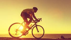 Fahrradversicherung Test Vergleich Top 10 Im Oktober 2020