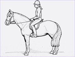 Jetzt die pferde ausmalbilder gratis downloaden und ausdrucken! Malvorlagen Kostenlos Pferd Mit Reiter Coloring And Malvorlagan