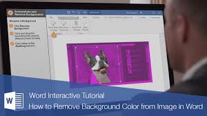 With the newest version of. How To Remove Background Color From Image In Word Customguide