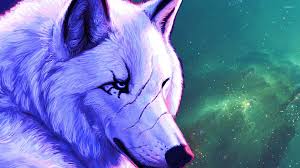 Download any/all unsplash images for free. Wolf Wallpapers