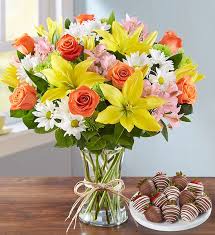 Check spelling or type a new query. Floral Embrace Free Shipping From 1800flowers