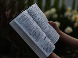 Human Person Reading And Text Hd Photo By Aaron Burden Aaronburden On Unsplash Photo Unsplash Hd Photos