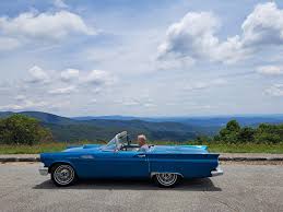 Image result for Dresden Blue 1957 Thunderbird