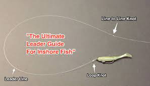 How To Tie The Perfect Fishing Leader For Snook Redfish And Seatrout Fishing For Beginners Crappie Fishing Red Fish