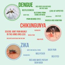 Foods, especially peanuts, seafood and eggs this image may contain graphic or. Insect Protection