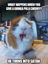 Pin On Make Me Laugh