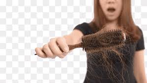 People who have experienced loss of armpit/pubic hair were most often matched with: Hair Strands On Hairbrush Management Of Hair Loss Hair Transplantation Human Hair Growth Man Hair Microphone People Arm Png Pngwing