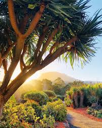 New South Wales On Instagram Get Out Of The City And Straight Into Nature With The Visitwollongong Botanic Gard Botanical Gardens New South Wales Wollongong