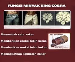 Kami kongsikan cara mengurut zakar lelaki dengan urutan zakar yang benar berkesan. King Cobra Oil Terbaik Zakar Terpacak Keras