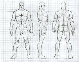 Male Orthographic Drawing Orthographic Drawing Drawings Character Design Male