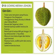 Selepas tanaman pokok berumur seawal sebulan hinggalah pokok berbuah. Baja Pokok Ciri2 Buah Durian Yang Korang Kene Tau Jagm Facebook