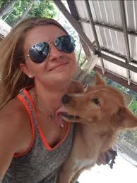 Pet Taxi Transport in Gold coast, Tweed Heads