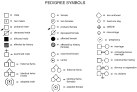 Symbols Commonly Used For Pedigree Analysis Family