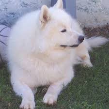 What house are you in in Harry Potter?