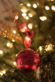 2,476 free images of merry christmas. 500 Merry Christmas Pictures Hd Download Free Images On Unsplash