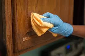 paint your kitchen cabinets without