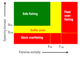 overfishing wikipedia