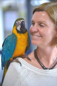 Profile for The Bizarre Pet Vets