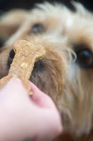 The top 22 dog treat flavors dogs are barking for. The Best Homemade Peanut Butter Dog Treats Recipe