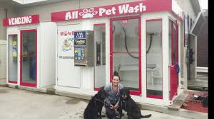 Chances are you will need to fill it with water unless you are near a water source. Video From Our Time At All Paws Pet Wash Youtube