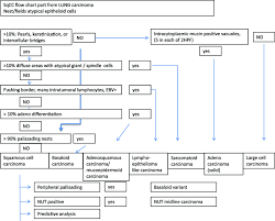 A Flow Chart For The Application Of Histological Criteria In