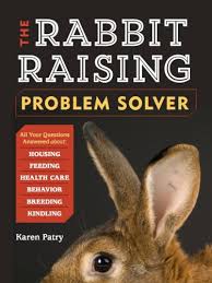 The belgian hare is best known for its distinctive body type and. Beveren Rabbits And The Related St Nicholas Blue Rabbits
