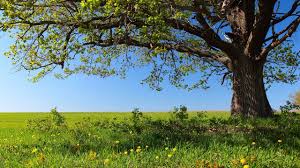 Audi bank direct geschäftsbereich der volkswagen bank gmbh hotline: Bank Fur Kirche Und Diakonie Kd Bank Als Arbeitgeber Gehalt Karriere Benefits Kununu