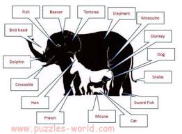 There are related clues (shown below). How Many Animals Can You See Puzzles World