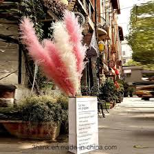 Il est possible d'acheter la cagette iconique de la. Chine Herbe Sechee Pampas Sunningdale Extra Large Pampas Seches De L Herbe Des Fleurs Sechees Longue Herbe Seche Acheter Pampas De L Herbe Sur Fr Made In China Com